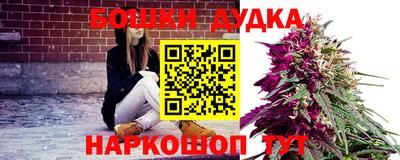молекула духа Донской
